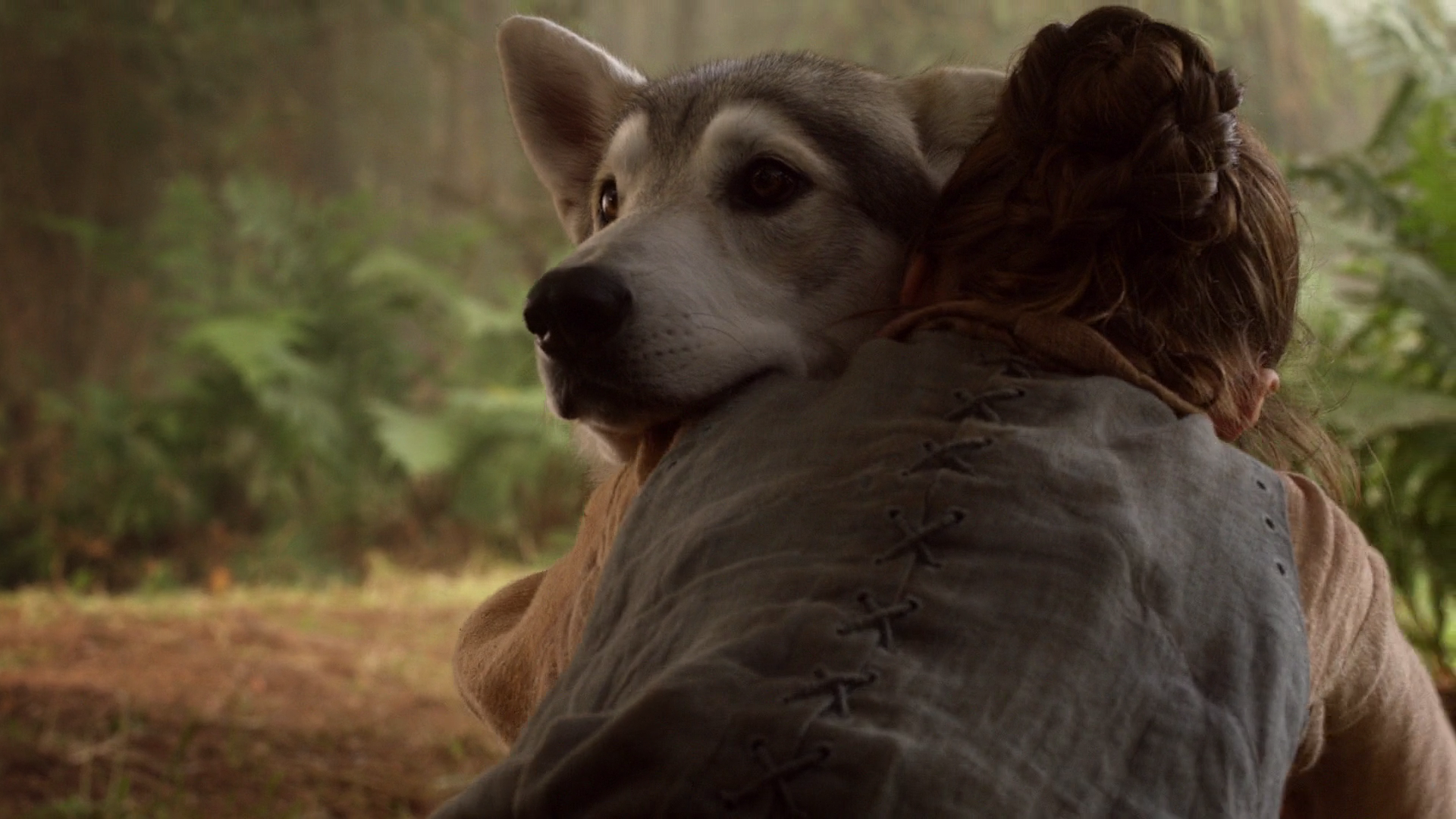 Nymeria, lobo Arya, Game of Thrones