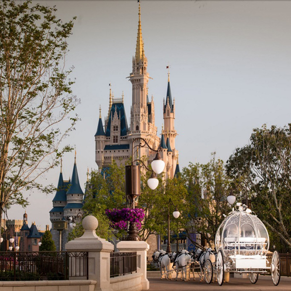 Se casar na Disney agora é realidade!